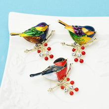 Load image into Gallery viewer, Multicolor bird brooch