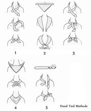 Load image into Gallery viewer, 2021 new fashion ladies silk scarf