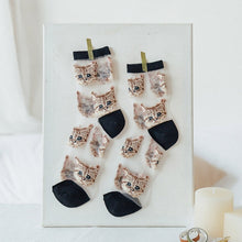 Загрузить изображение в средство просмотра галереи, Novelty Harajuku Tide Socks
