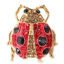 Загрузить изображение в средство просмотра галереи, Insect brooch
